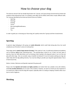 How to choose your dog