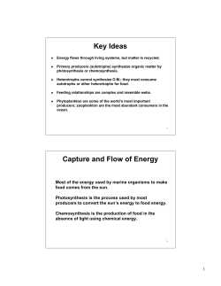 Key Ideas Capture and Flow of Energy