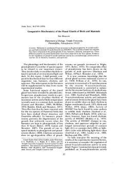 Comparative Biochemistry of the Pineal Glands of Birds and
