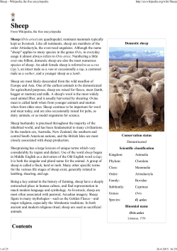 Sheep - Wikipedia, the free encyclopedia