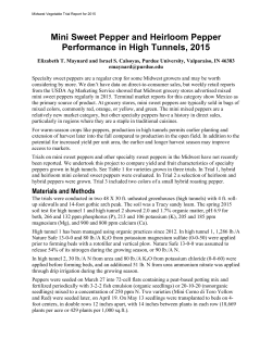 Mini Sweet Pepper and Heirloom Pepper Performance in High