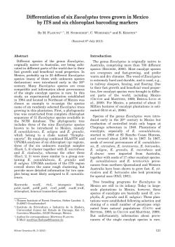 Differentiation of six Eucalyptus trees grown in - Thünen