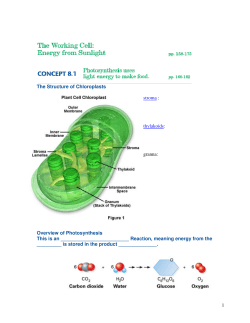 Overview of Photosynthesis This is an