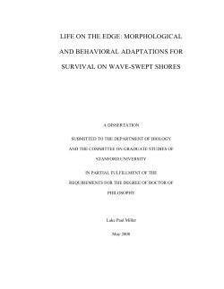 Life on the edge: morphological and behavioral adaptations for