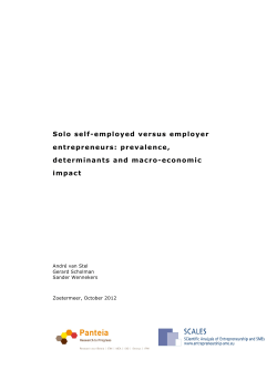 Solo self-employed versus employer entrepreneurs