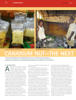13 Canarium nut - the next macadamia?