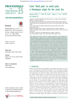 From `third pole` to north pole: a Himalayan origin for the arctic fox