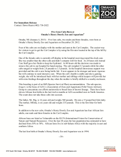 Dawn Ream (402) 738-2022 Five Lion Cubs Born at Omaha`s Henry