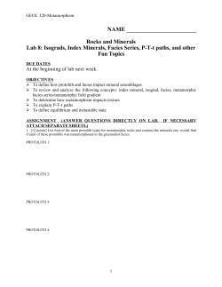 NAME Rocks and Minerals Lab 8: Isograds, Index Minerals, Facies