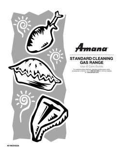 standard cleaning gas range