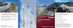 The great Aletsch glacier