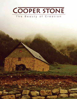 product summary catalog