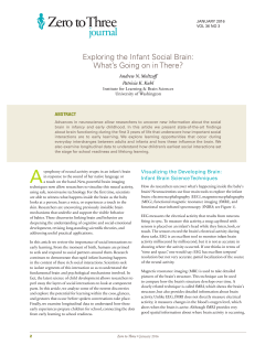 Exploring the Infant Social Brain: What`s Going on in There?