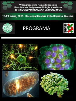 PROGRAMA
