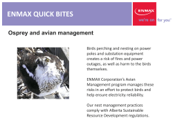 Osprey and avian management