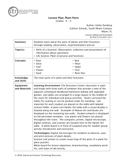 Lesson Plan: Plant Parts