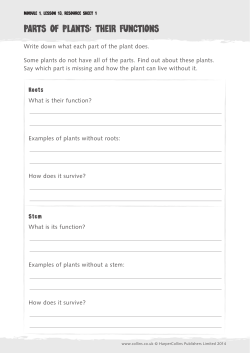 parts of plants: their functions - Collins Connect