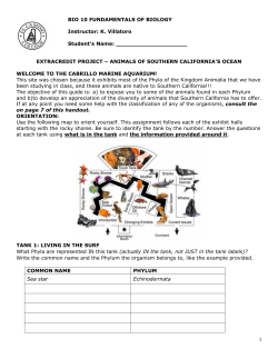 Cabrillo Aquarium - El Camino College