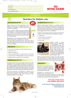 Nutrition for diabetic cats