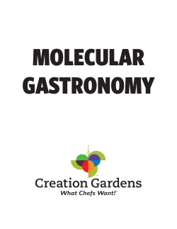 Molecular Gastronomy