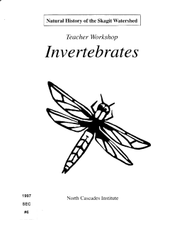 1997 SEC #6 - Skagit Environmental Endowment Commission