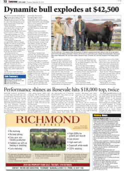 Dynamite bull explodes at $42,500