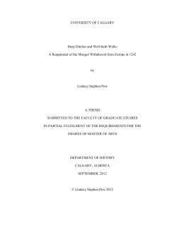 Deep ditches and well-built walls: a reappraisal of the mongol