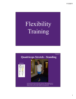 our flexibility exercises as a PDF.