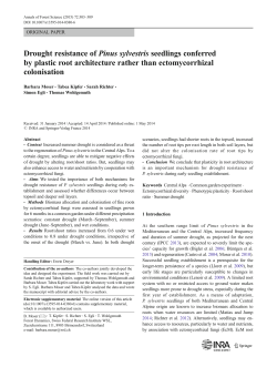 Drought resistance of Pinus sylvestris seedlings conferred by plastic