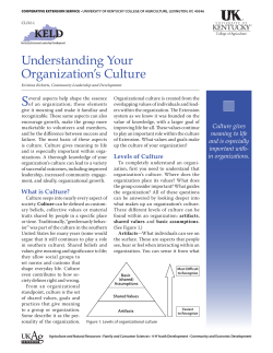 CLD2-1: Understanding Your Organization`s Culture