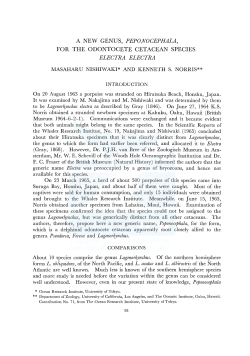 a new genus, peponocephala, for the odontocete cetacean species