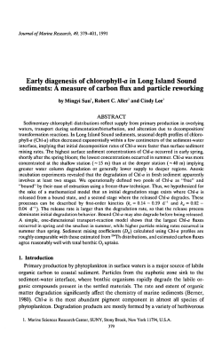 Early diagenesis of chlorophyll-a in Long