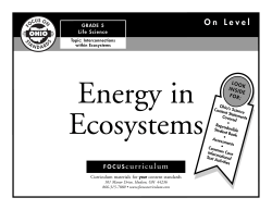 ecosystem - Focus curriculum