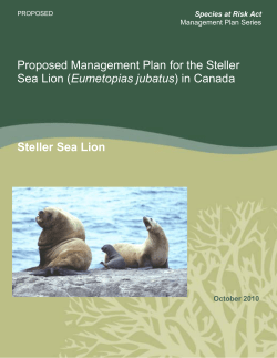 Proposed Management Plan for the Steller Sea Lion (Eumetopias