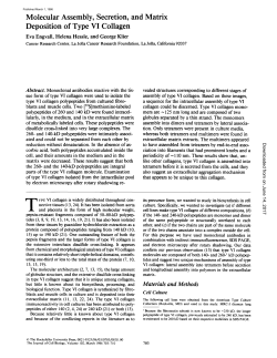 Molecular Assembly, Secretion, and Matrix Deposition of Type VI