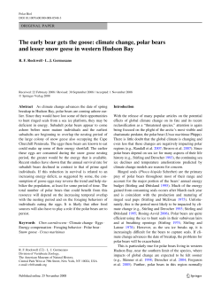 The early bear gets the goose: climate change, polar