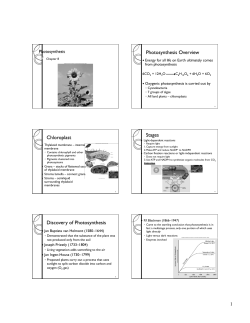 1 Photosynthesis Overview Chloroplast Stages Discovery of