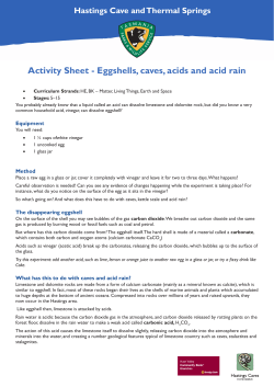 Activity Sheet - Eggshells, caves, acids and acid rain