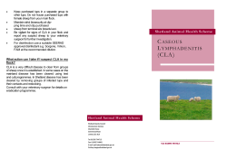 CLA - Shetland Islands Council