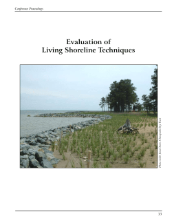 Section 3: Evaluation of Living Shoreline Techniques