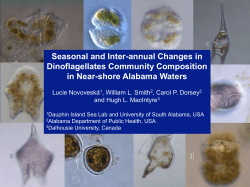 Seasonal and Inter-annual Changes in Dinoflagellates Community