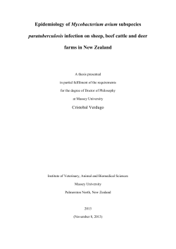 Cristoba_Verdugo_PhD_Thesis