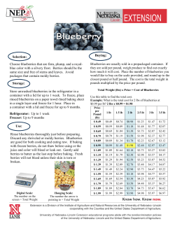 Blueberry - UNL Food