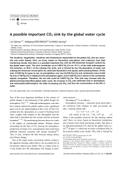 A possible important CO2 sink by the global water cycle