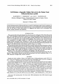 Cell Division: a Separable Cellular Sub-cycle in the