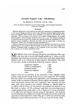 Amoeba hugonis n.sp.: Life-history ByMONICA TAYLOR, SND, D.Sc.