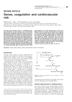 Genes, coagulation and cardiovascular risk