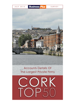 Accounts Details Of The Largest Private Firms