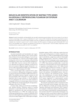 molecular identification of mating type genes in asexually