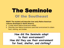 The Seminole - WordPress.com